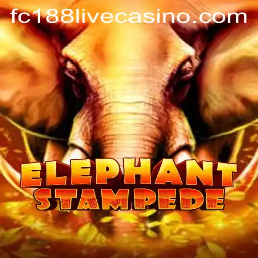 Unveiling ElephantStampede: A Thrilling Adventure in the World of fc188